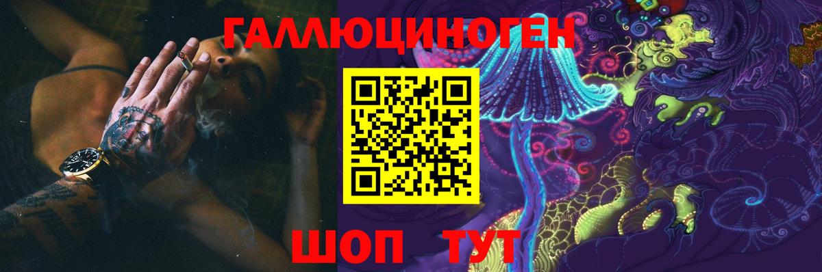 Псилоцибиновые грибы Cubensis Ирбит