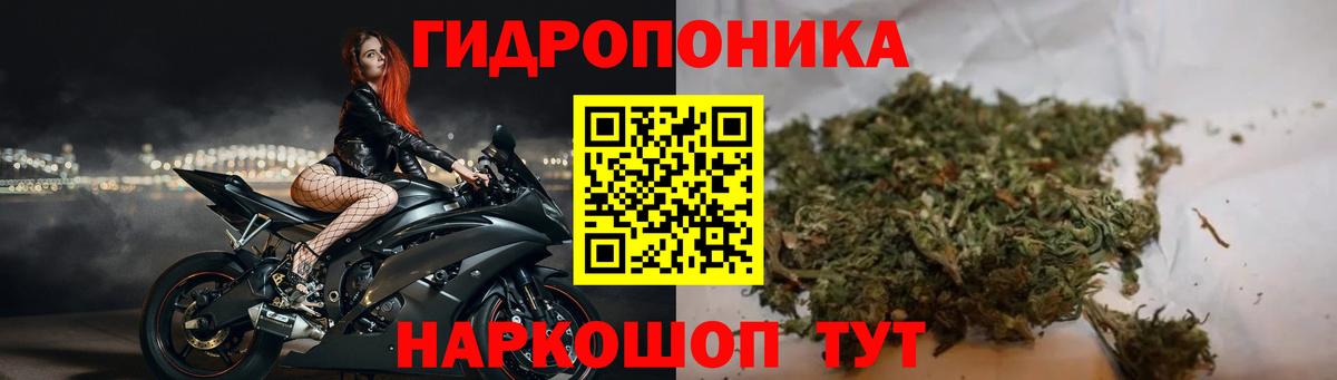 Бошки Шишки марихуана Ирбит
